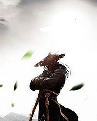 武逆佣兵妃凰战天穹