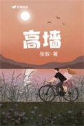 高墙之内