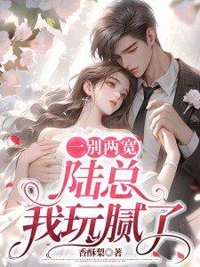 陆总我玩腻了